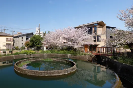 A House Living with a Cylindrical Water Divider