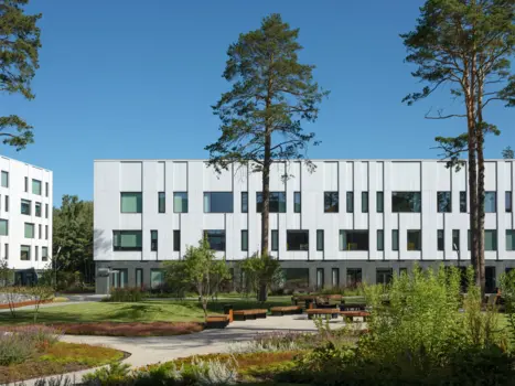 Pine Campus—Physics & Mathematics School